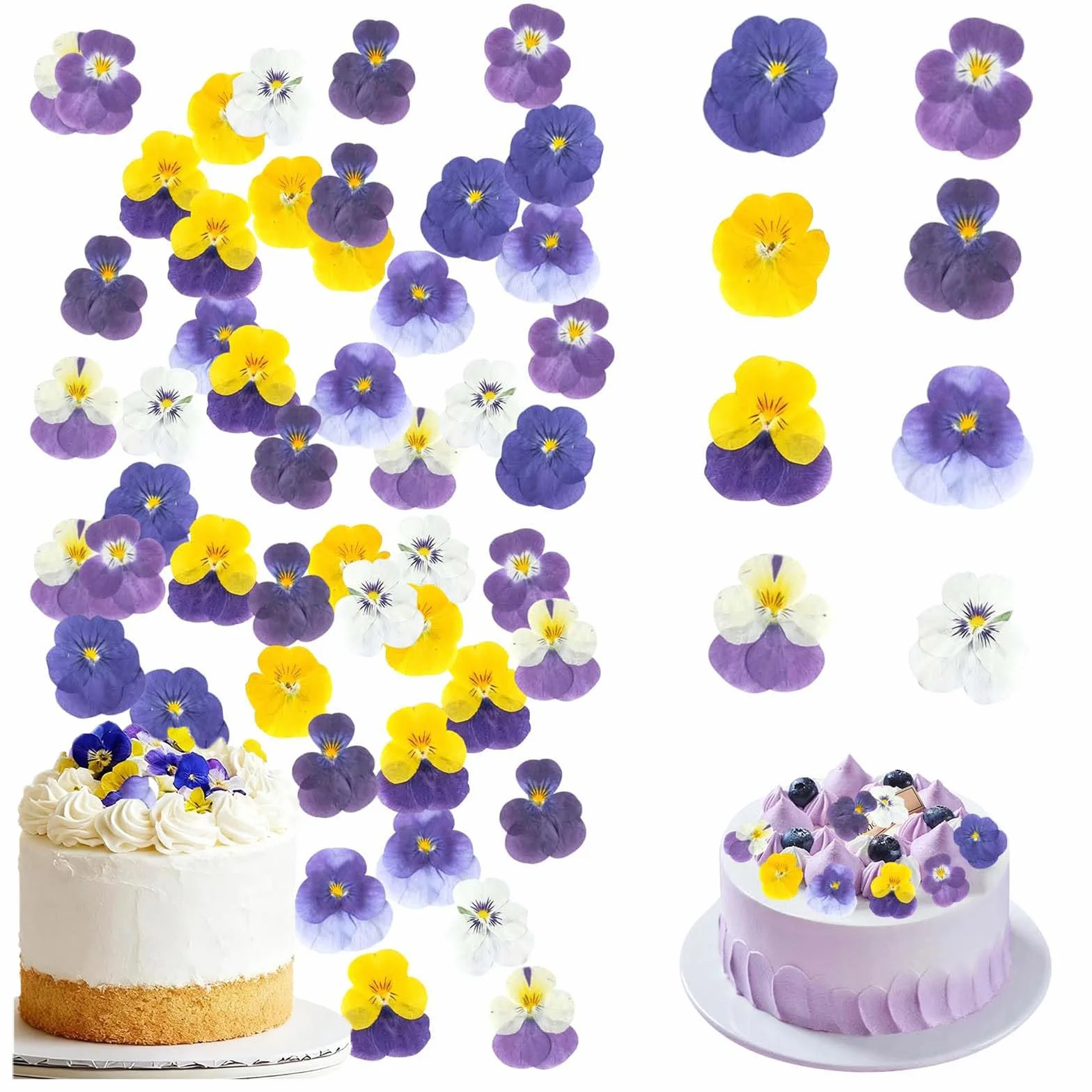 8 rodzajów naturalnie suszonych, 40 sztuk suszonych kwiatów wielokolorowych mix Viola Tricolor do dekoracji topperów na ciastkach, żywicy do biżuterii, wykonywania koktajli, rękodzieła DIY