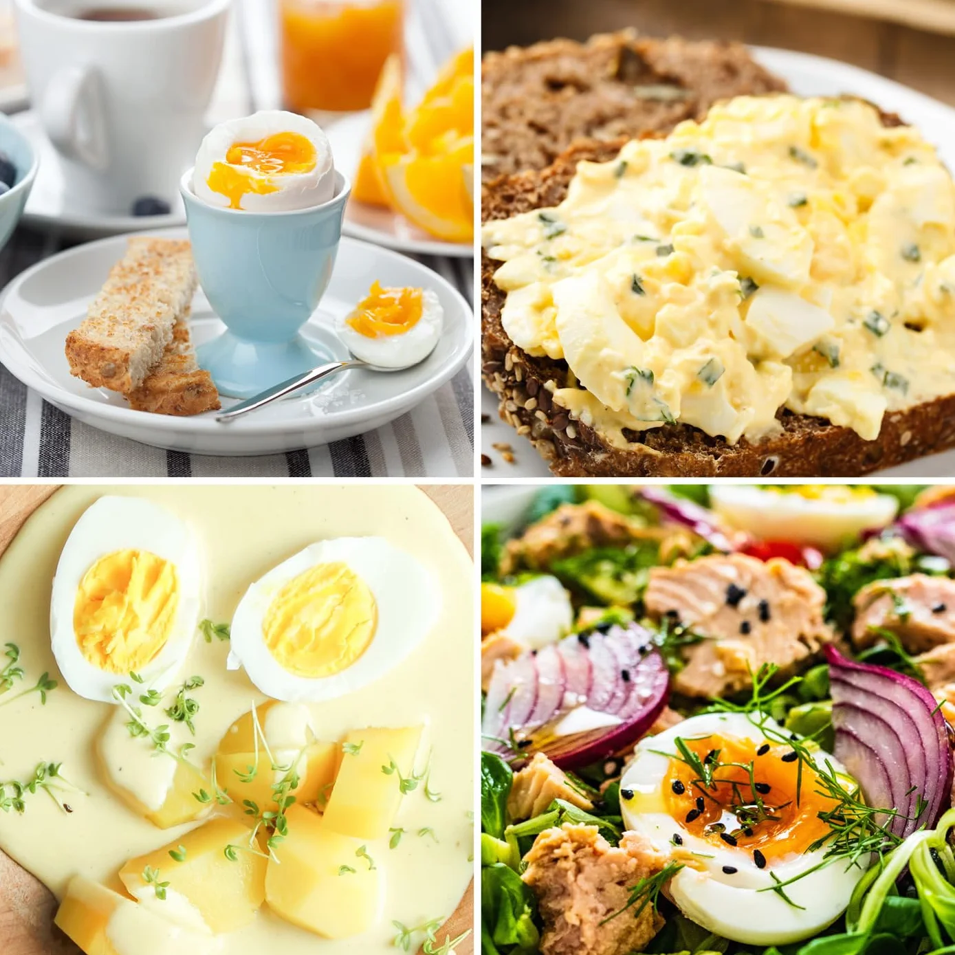 GOURMETmaxx Jajowar na 3 jajka | bojler do jajek z wykrawaczem do jajek w miarce | Egg Cooker – 3 stopnie twardości do kieliszków do jajek | Design mały jajowar – części nadające się do mycia w
