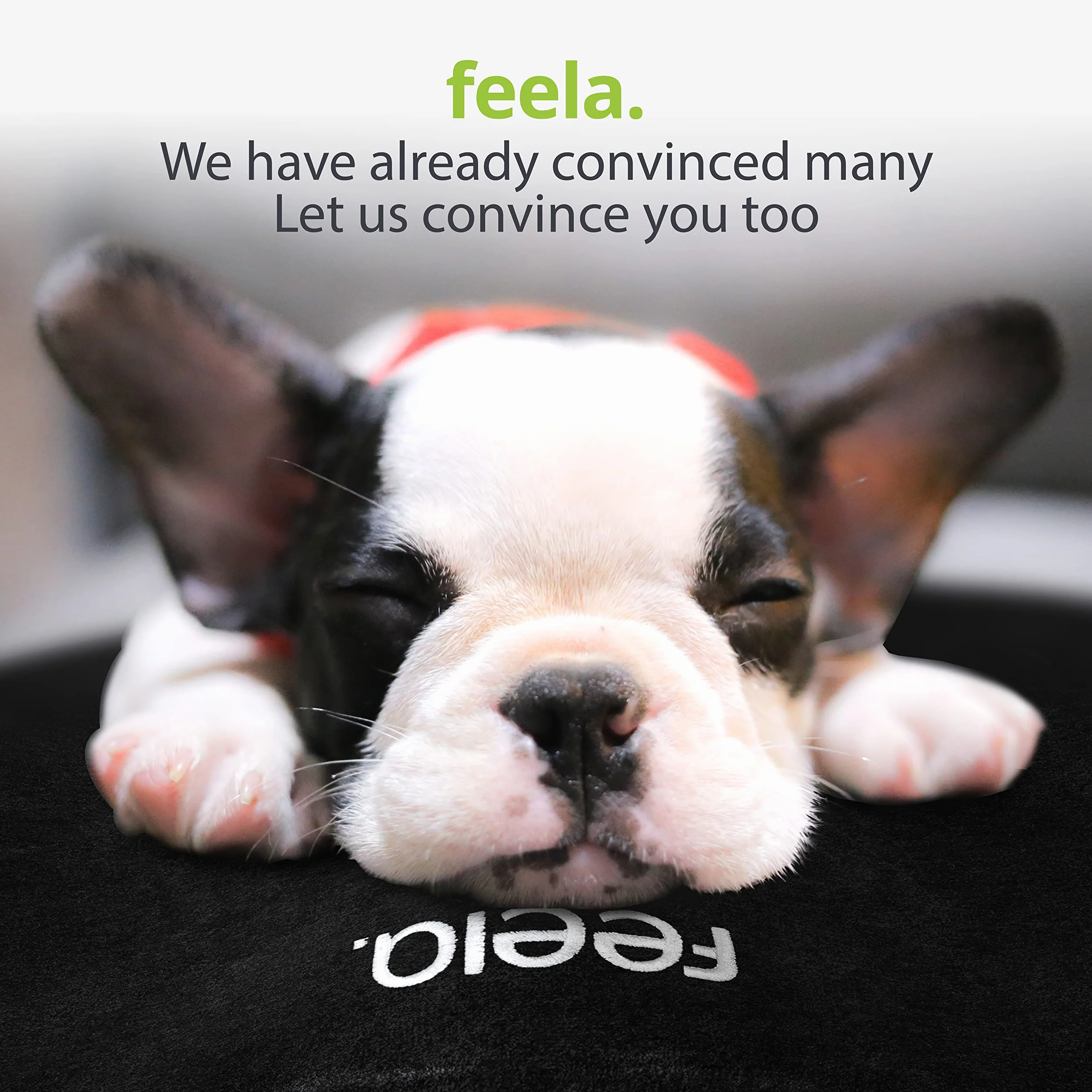feela.® ortopedyczna poduszka do siedzenia premium (3 stopnie twardości) – ergonomiczna poduszka na krzesło biurowe i inne, zmniejsza ból, poprawia komfort siedzenia, wspomaga ukrwienie oraz odciąża kość ogonową (twardość: medium)