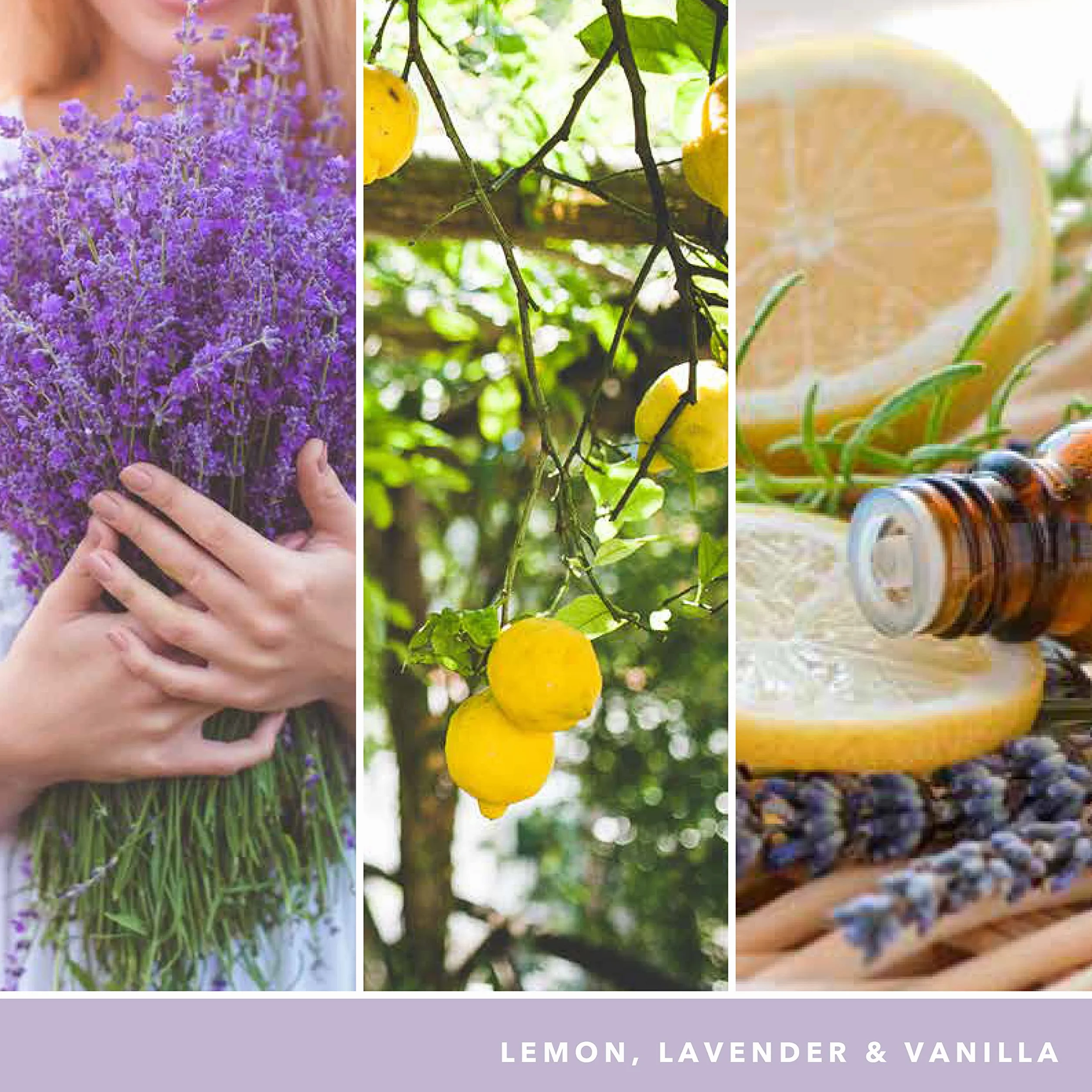 Yankee Candle Podpis świeca zapachowa | Lemon Lavender Large Jar Candle z podwójnymi knotami | mieszanka wosku sojowego długo paląca się świeca