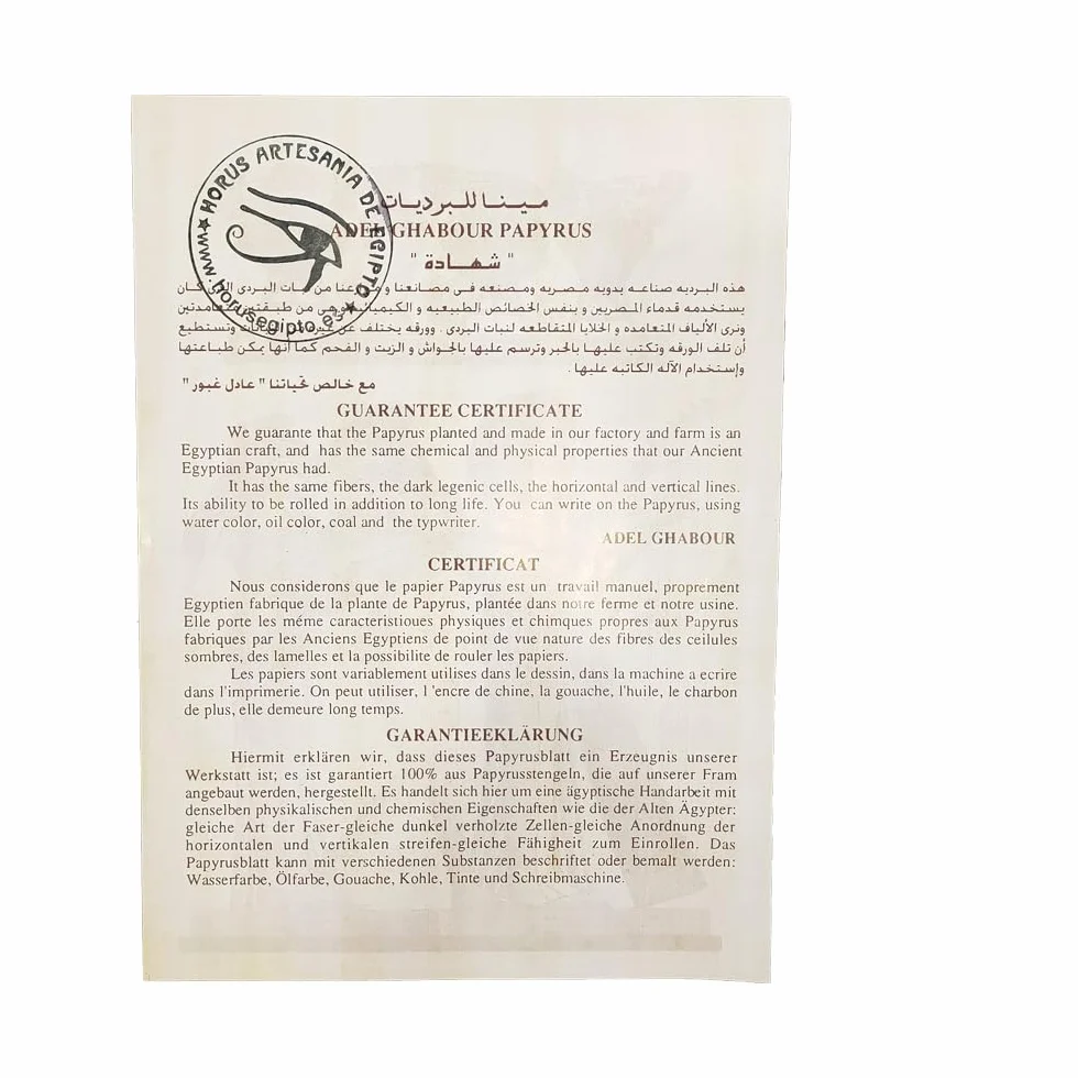 Horus Artesanía de Egipto Papirus egipski Twoje imię i horoskop w hieroglifie na oryginalnym papirusie ręcznie i pomalowanym w Egipcie